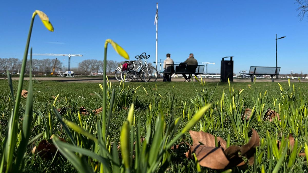 Met je toet in de zon: Limburg geniet volop van de eerste warme dag van het jaar