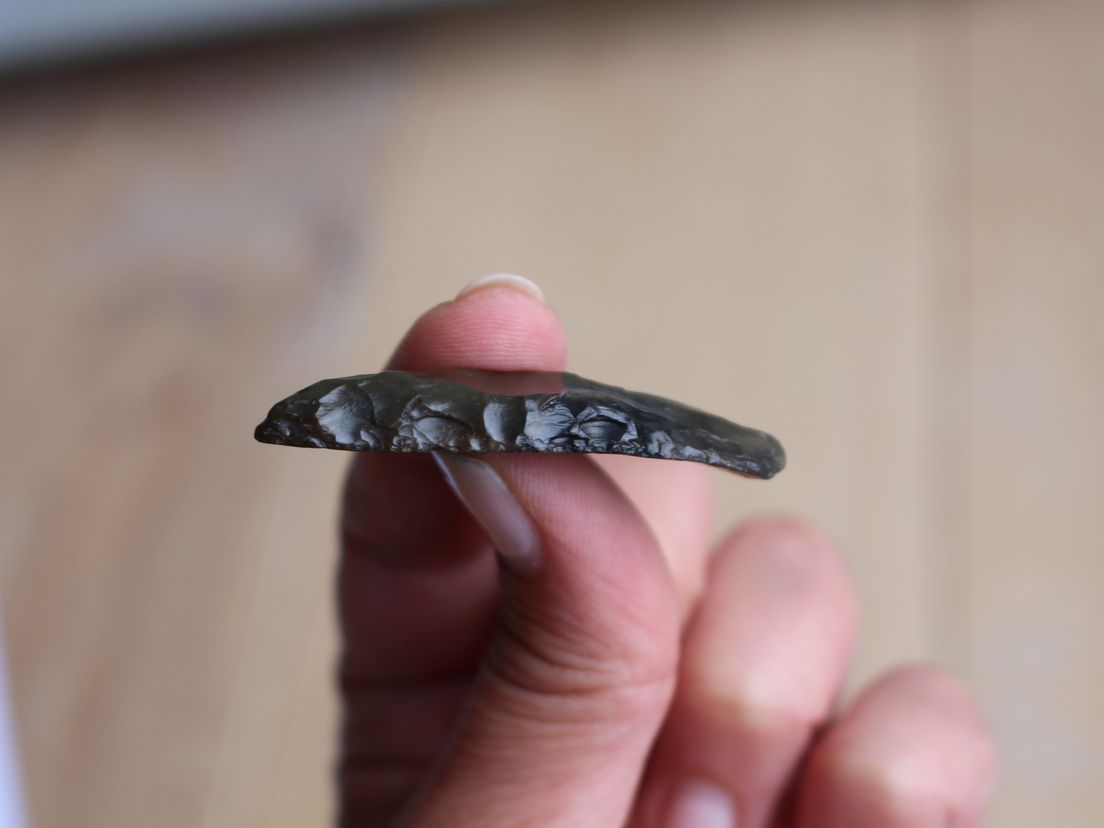 De neanderthaler spitsschaaf