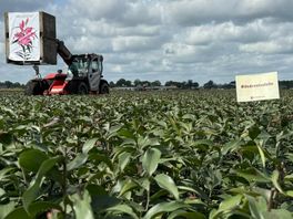Verbod op vijf stoffen nabij Natura 2000, provincie zet punt achter slepende zaak