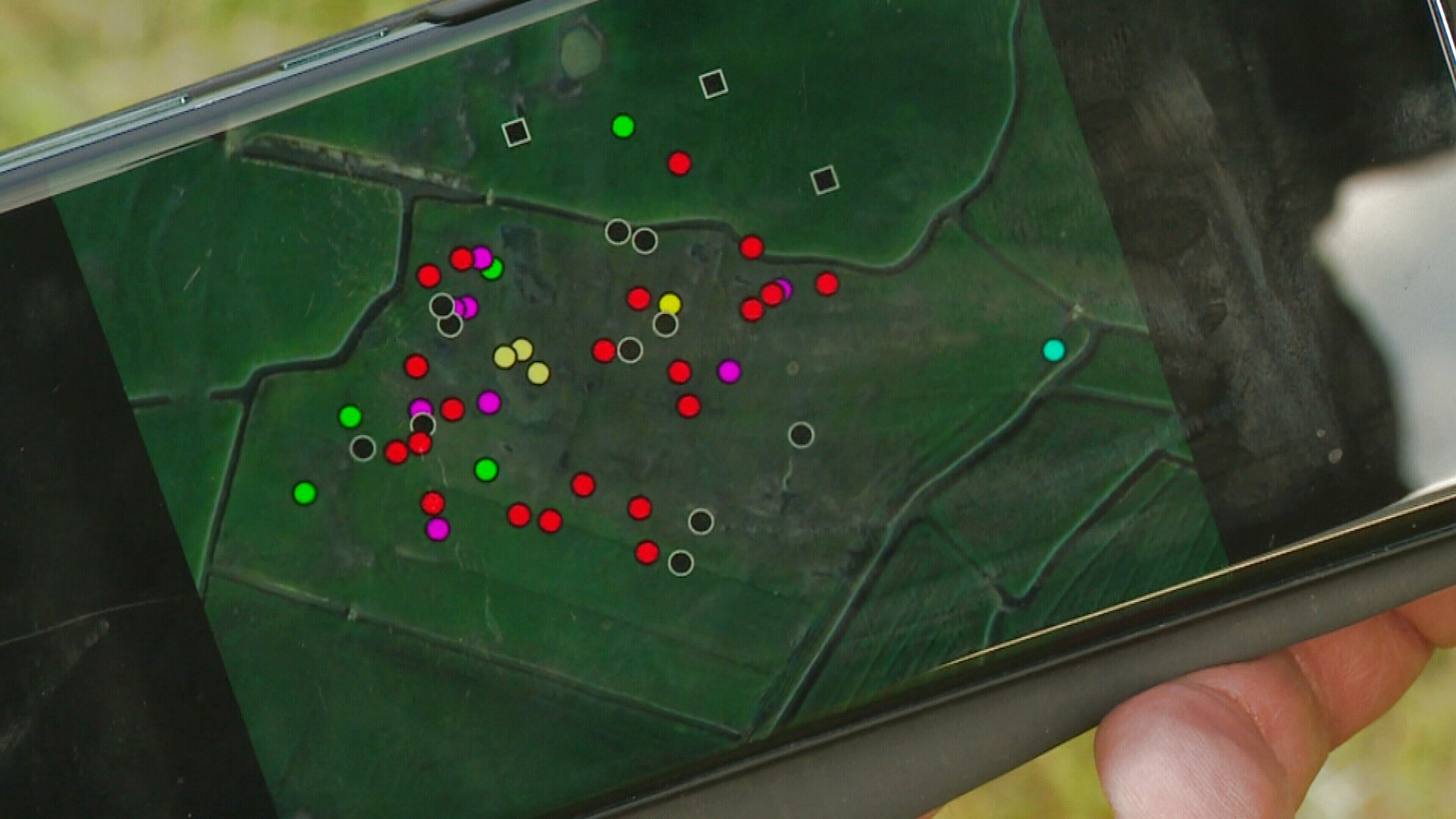 Op de app binne de nêsten en soarten dy't fûn binne registrearre