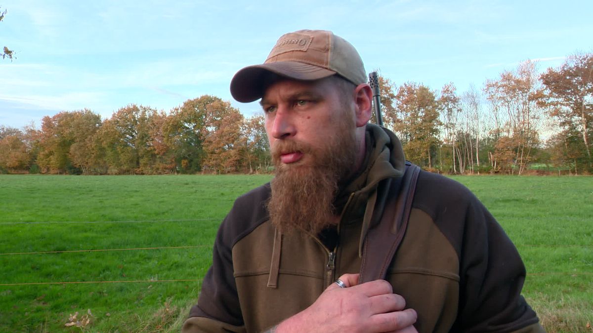 Zo gaat de jacht op damherten bij Oranjewoud in werking