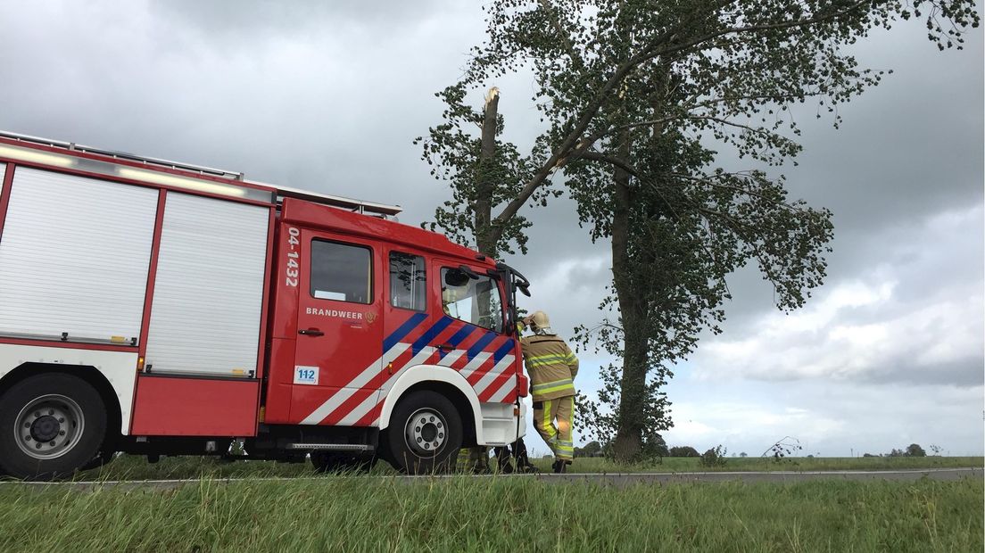 Boom hangt over de weg bij N760