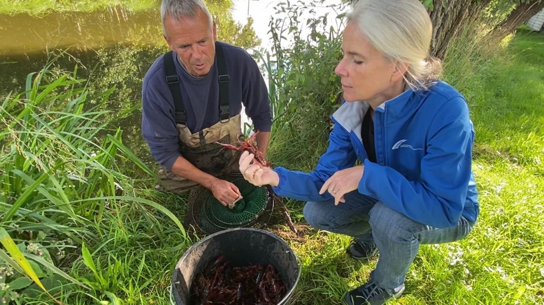 Beroepsvisser Jan de Waard en Nancy Meijer Hoogheemraadschap met verse vangst