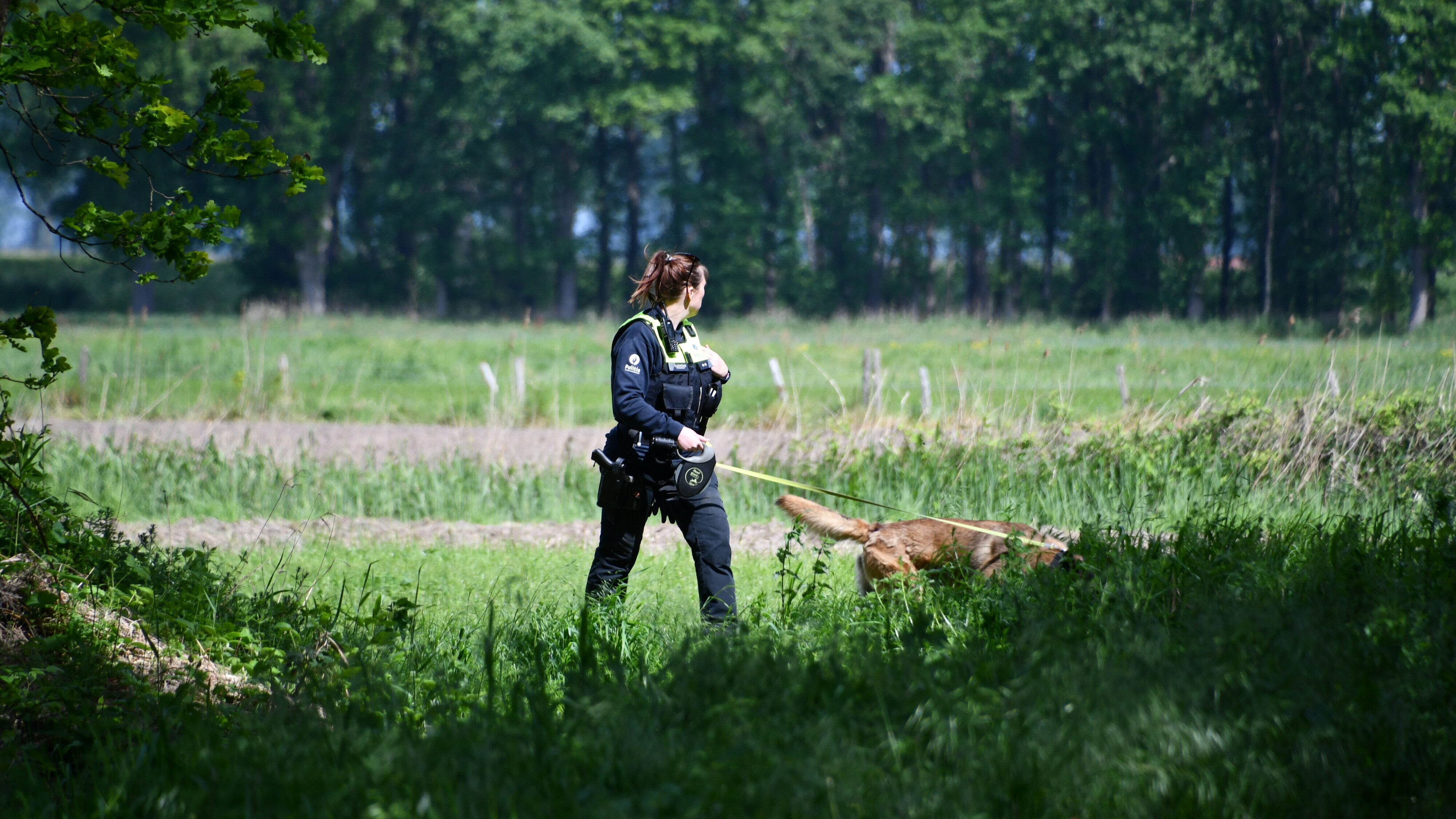 Lichaam vermiste man (77) gevonden in kreek bij Clinge