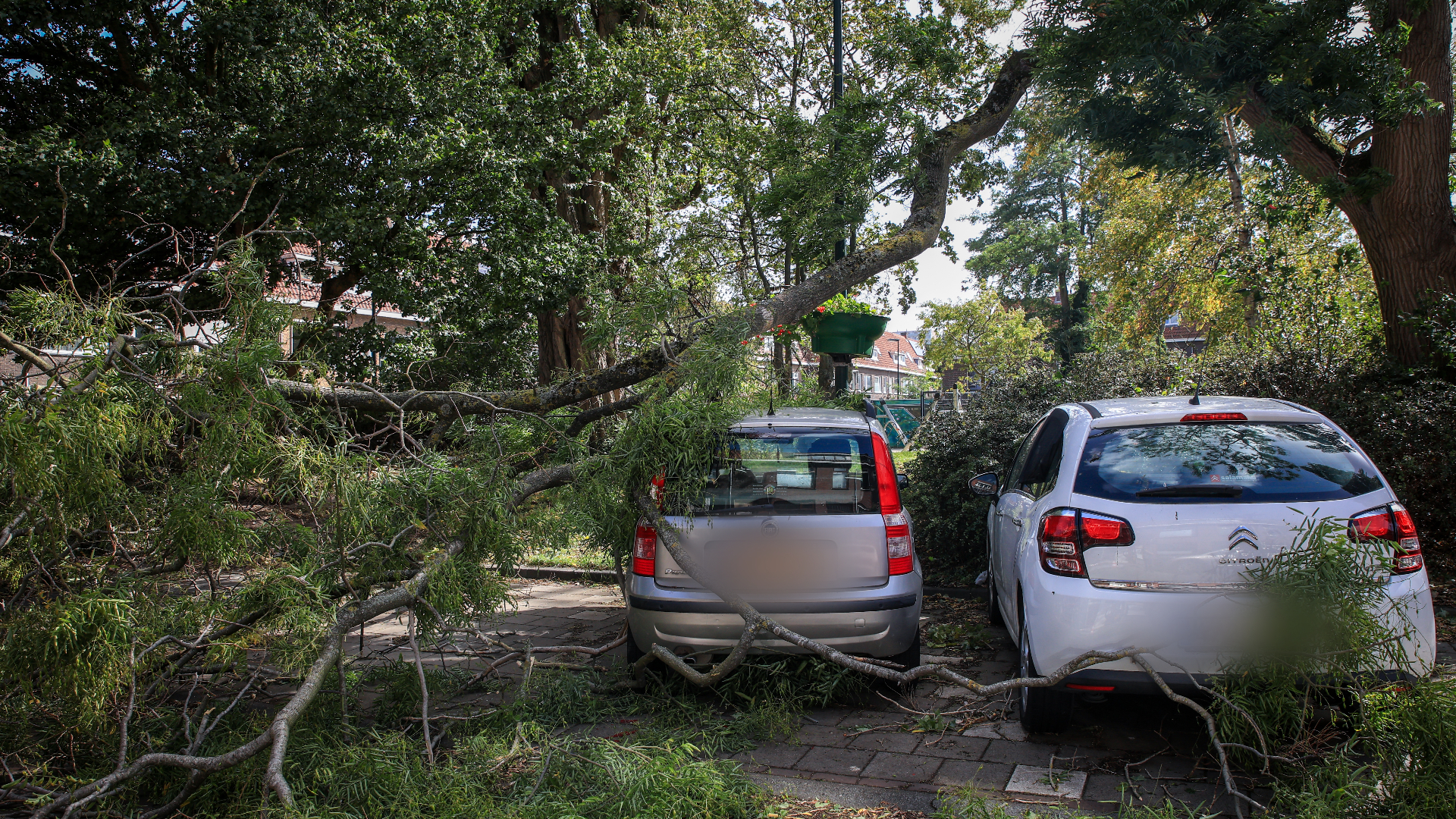 Door de harde wind belandde er een tak op de geparkeerde auto.