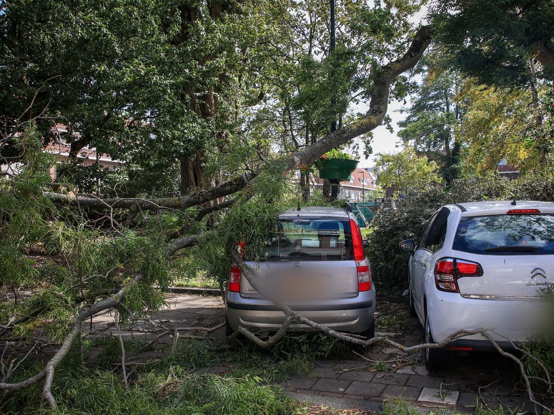 Door de harde wind belandde er een tak op de geparkeerde auto.