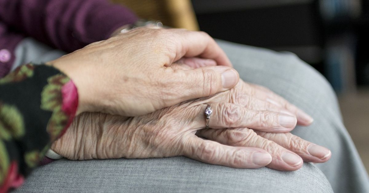 Dutch Healthcare Fraud: Billions Lost to Criminals as Law Loopholes Persist - News Directory 3