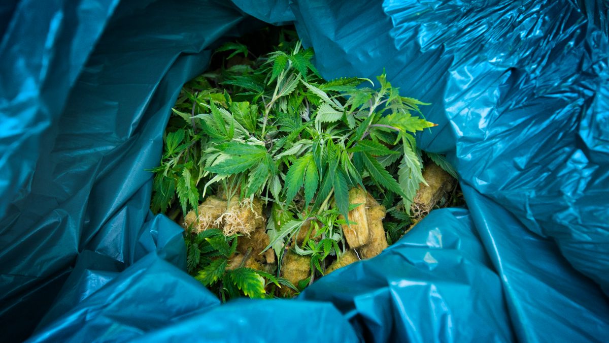 Burgemeester sluit woning in 2e Exloërmond om drugsvondst