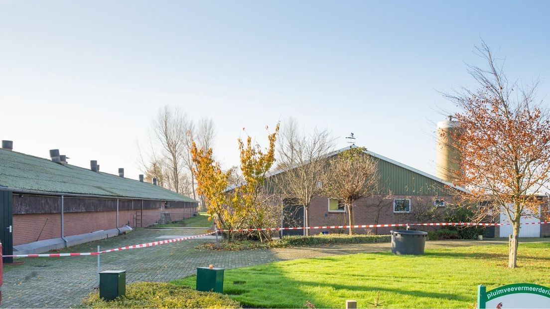 Vogelgriepvirus bleef tien dagen onontdekt