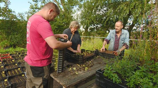 Dagbesteding in Hieslum zorgt voor een groener recreatiegebied De Potten Nieuws