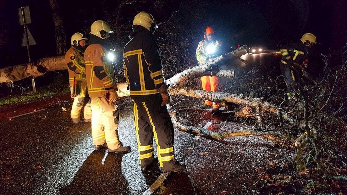 Omgevallen boom in Geesteren