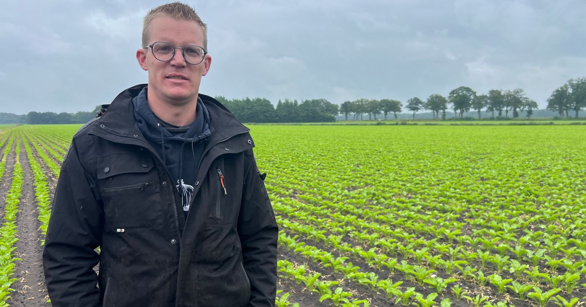 Few problems are faced by Drenthe farmers due to wet weather