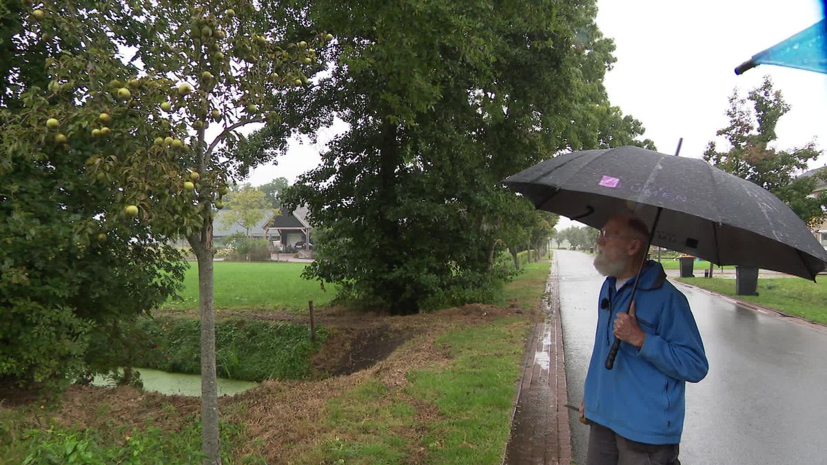 Onderzoek naar alle 1200 perenbomen in Ruinerwold