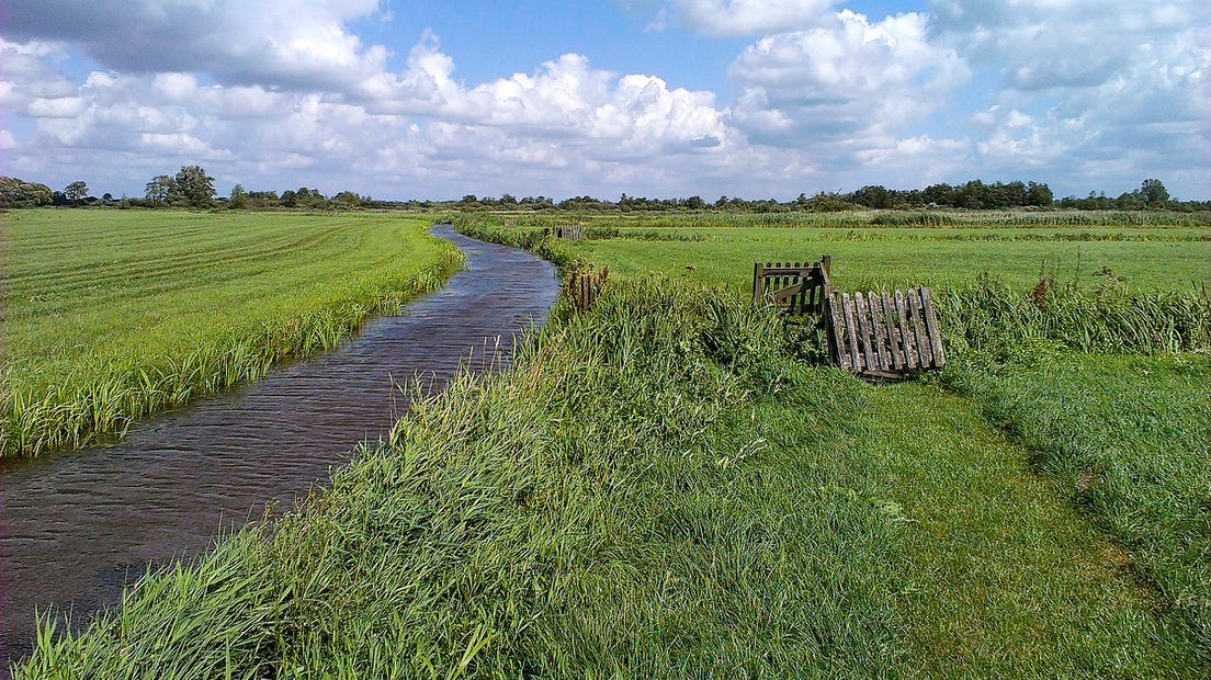 Het grensriviertje De Lauwers