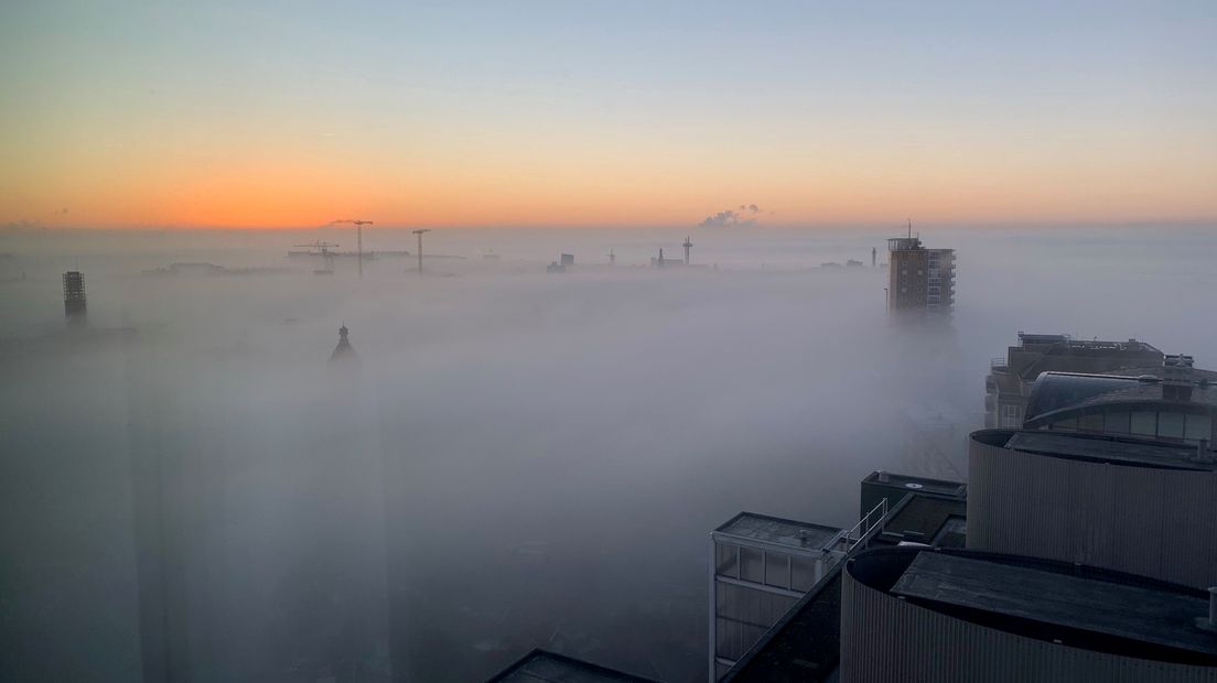 Beneden zie je geen hand voor ogen, maar vanaf de Sardijntoren in Vlissingen heb je een prachtig uitzicht.