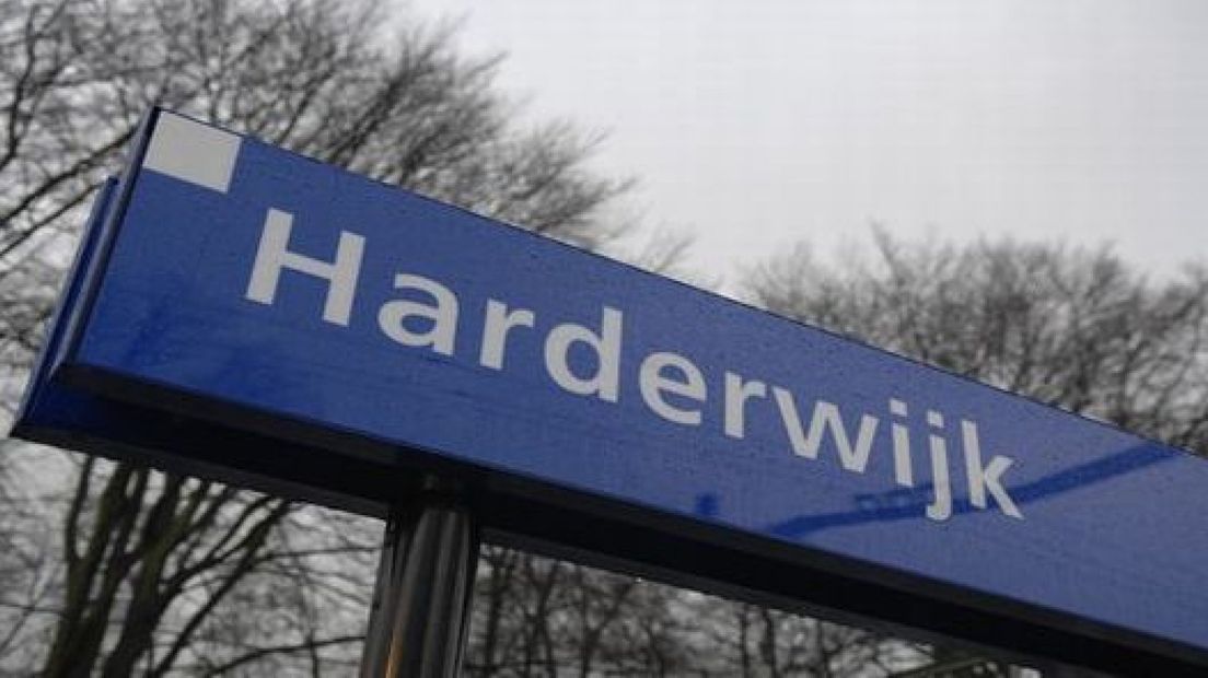 Shantykoren zingen in Harderwijk