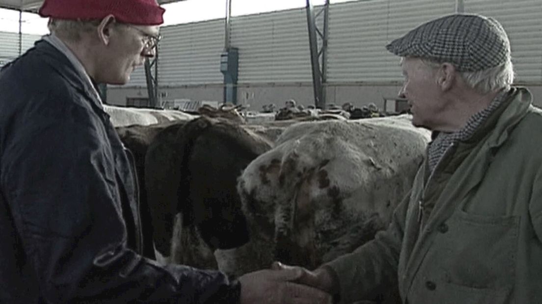 De IJsselhallen danken haar ontstaan aan de veemarkt