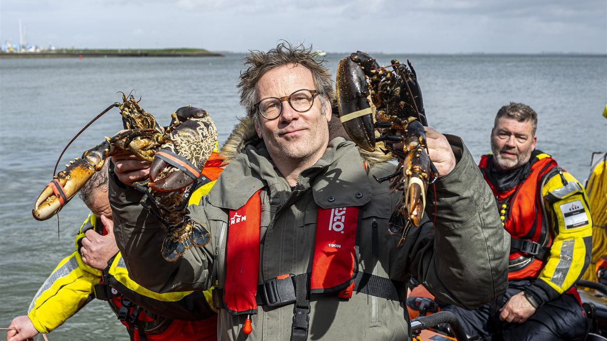 Kreeftenopening gooit het over andere boeg