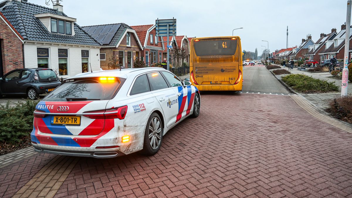 Man kapt illegaal tientallen bomen in Nieuwehorne | Drachtster krijgt 