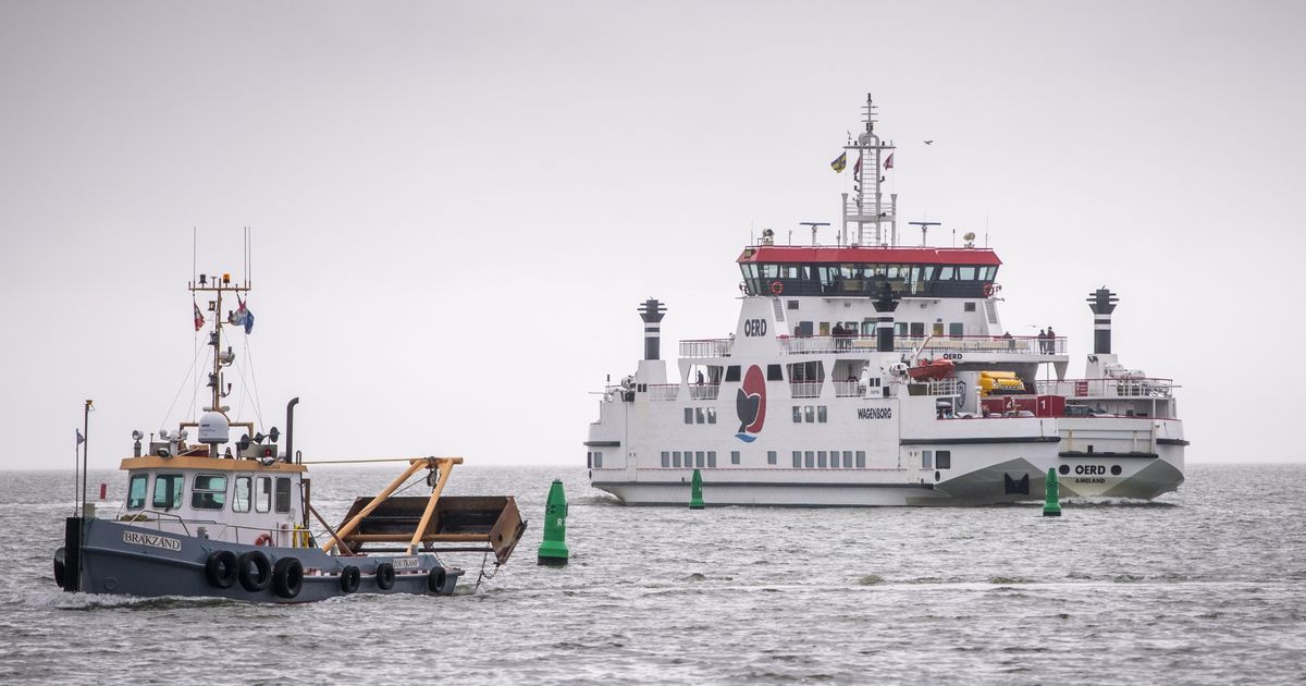 De tegenstrijdige belangen van natuur en economie in en rond de Waddenzee