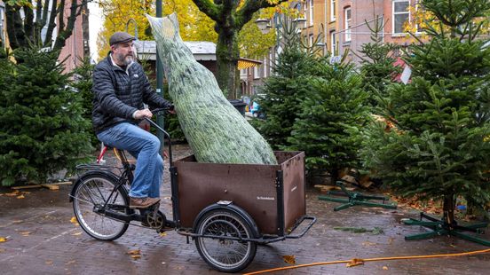 Gun je kerstboom een lang leven met deze tips van Gelderse verkopers