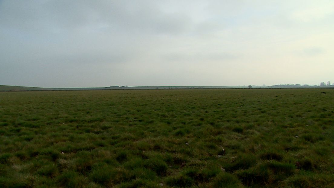 Hulst moet stoppen met geheimzinnig doen bij plan Perkpolder, zeggen onderzoekers HAS