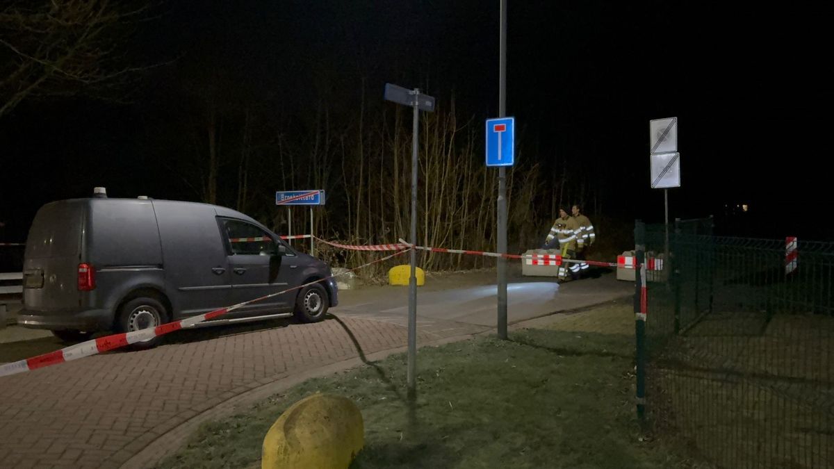 Lichaam gevonden in bos Sittard, politie onderzoekt verschillende scenario's