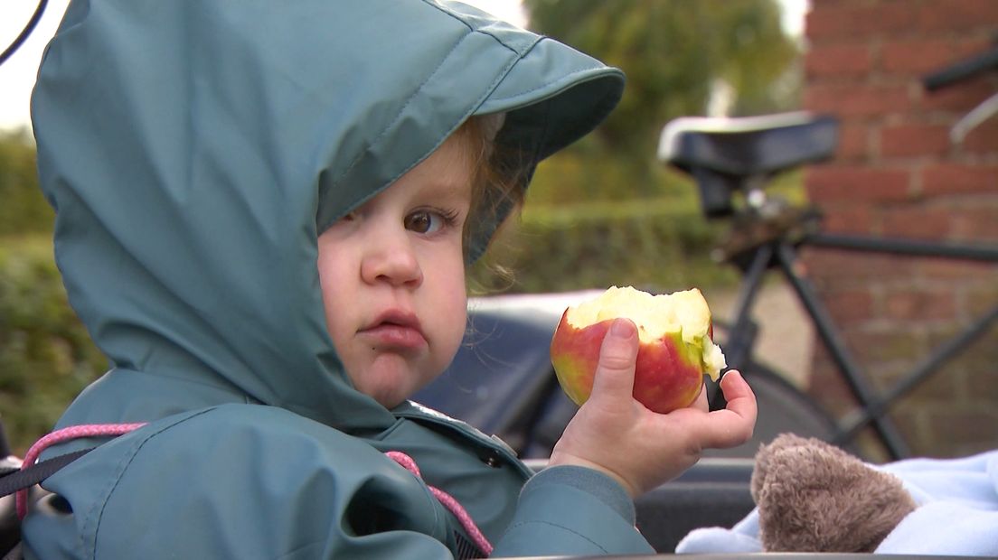 'Het voortduren van de Russische boycot wordt van lieverlee desastreus'. Dat zegt fruitteler Eric van Haarlem uit Deil. Deze dagen oogst hij de laatste Jonagold-appels. Of hij die appels voor een goede prijs kan verkopen, is de grote vraag. Doordat er geen fruit naar Rusland mag, verschuiven in Europa de markten en dus ook de prijzen.