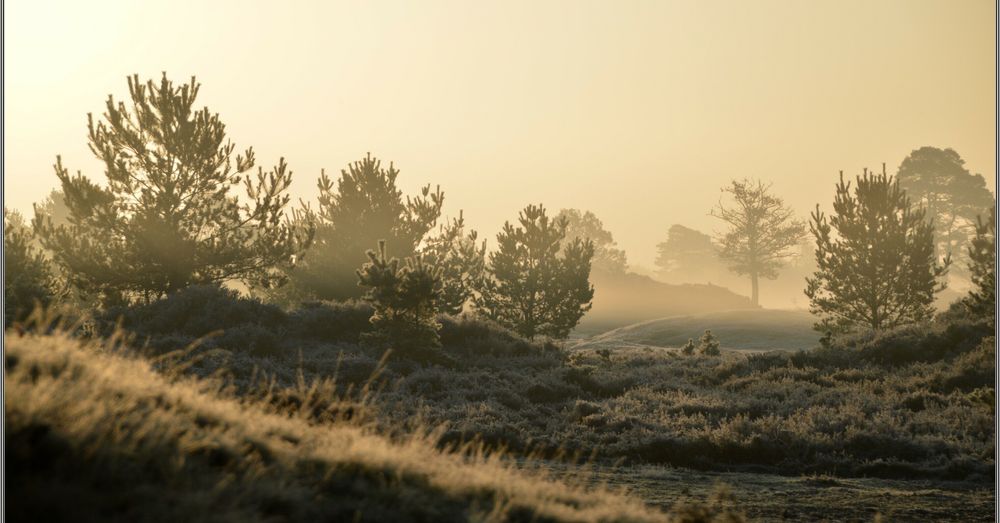 Wat is er te doen op Hemelvaartsdag in Drenthe? - RTV Drenthe