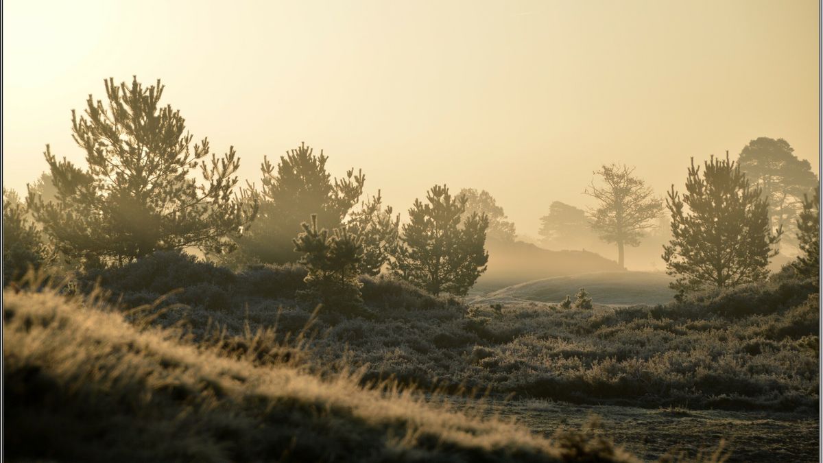 Wat is er te doen op Hemelvaartsdag in Drenthe?