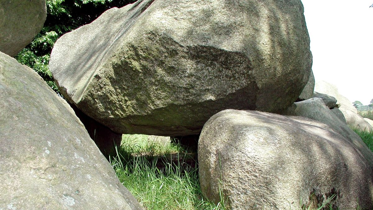 'Ik word helemaal opgewonden van dit soort grote keien' - RTV Noord