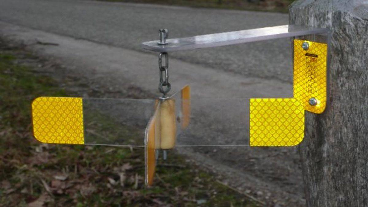 Wildspiegels op Zwiggelterweg