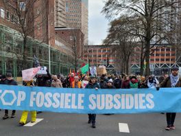 Extinction Rebellion gaat opnieuw demonstreren in Den Haag: marsen door de stad naar de A12