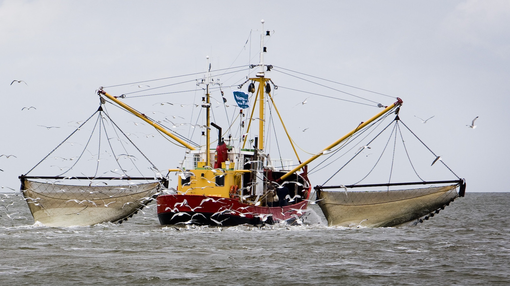 Nije natuerfergunning garnalefiskers 'moat fan tafel'
