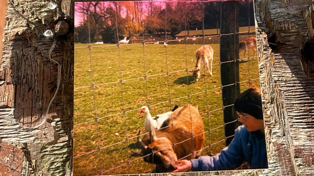 Vrijwilliger hertenkamp Vriescheloo: 'Ik kom hier al mijn hele leven'