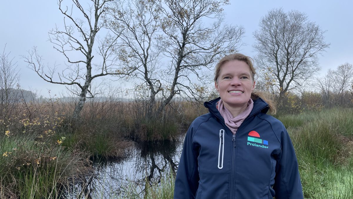 De aanleg van de waterbuffer bij Nieuw-Schoonebeek staat op het punt van beginnen