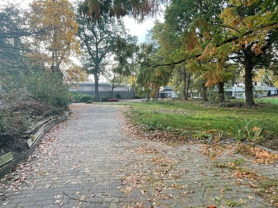 Toch geen klimtorens en wandelpad op hoogte in Rensenpark