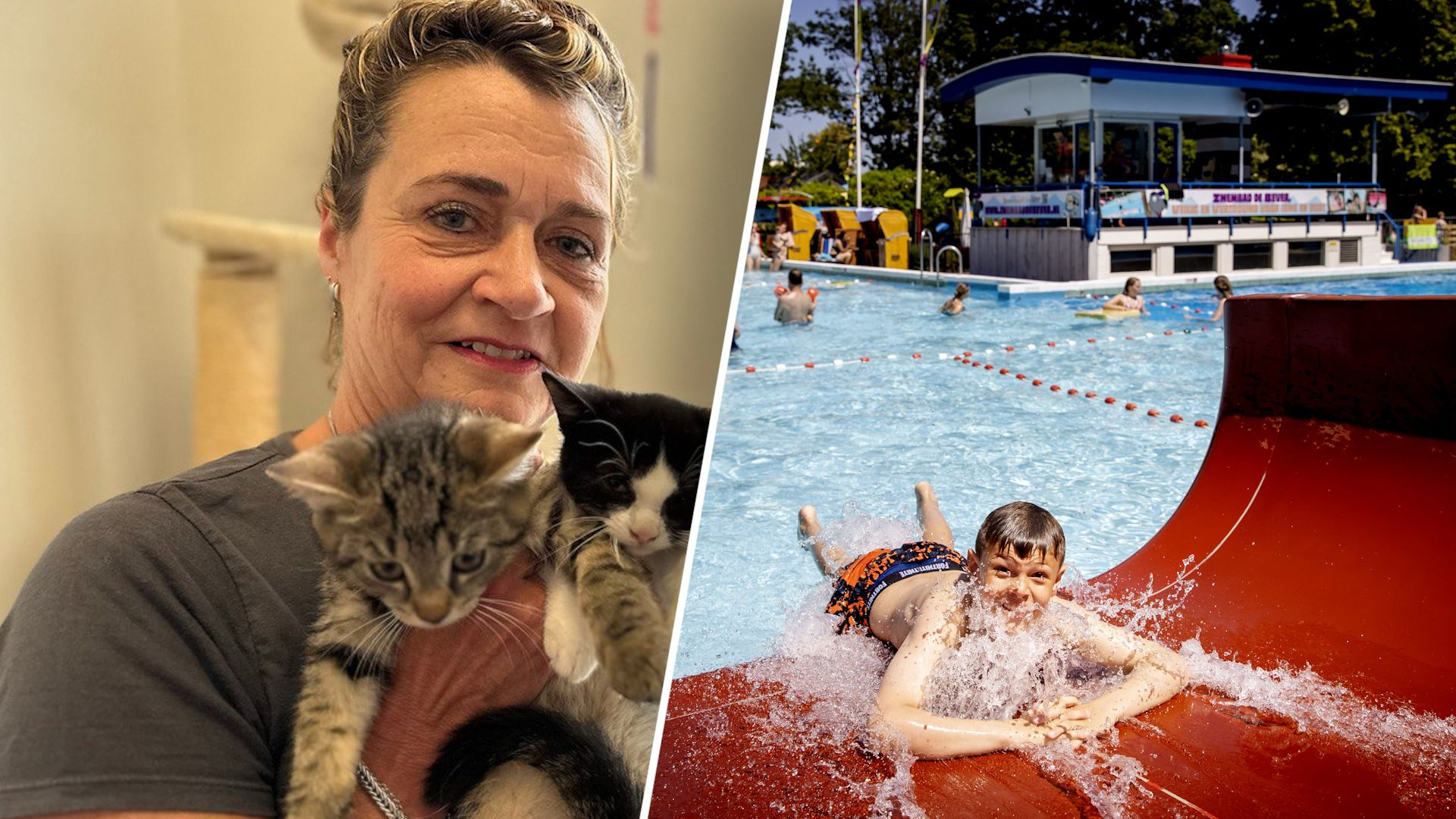 In dierenpensions en zwembaden is het in de zomer vaak erg druk.