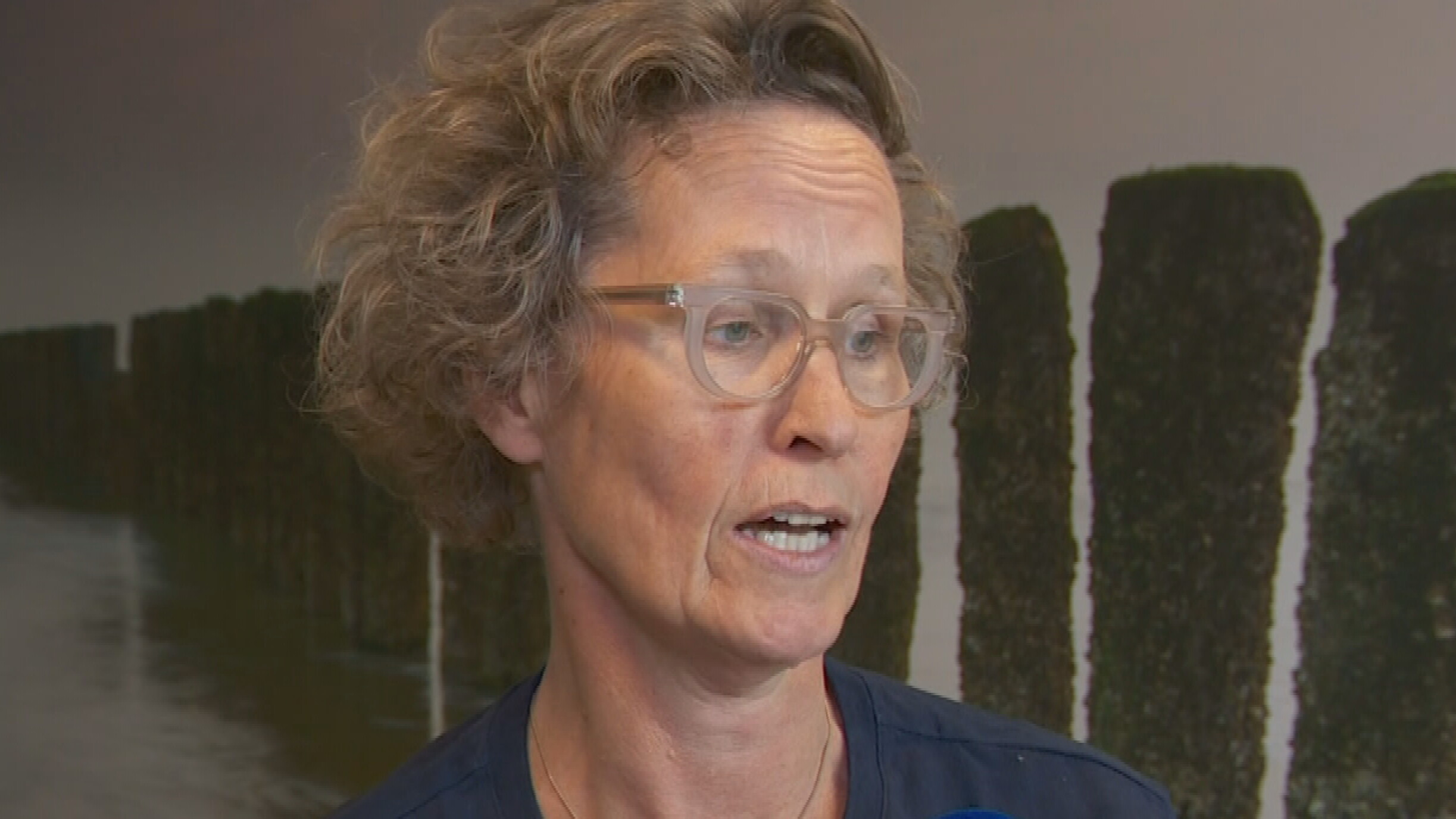 Ellen Kuipers fan de Waadferiening