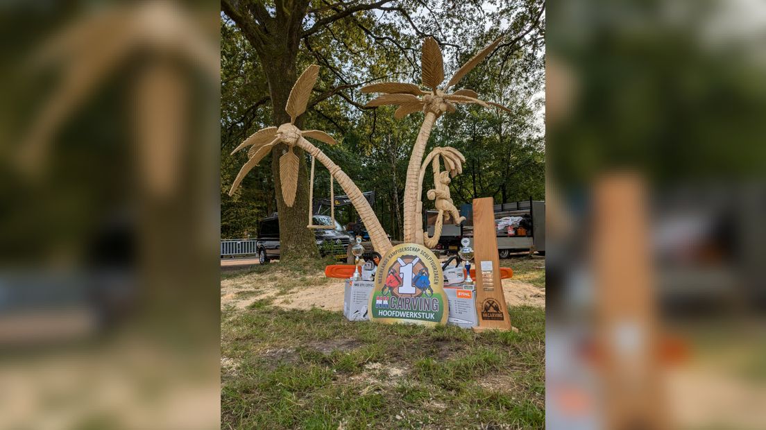 Het onbewoonde eiland van hout
