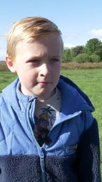 Kinderen op pad met schapen