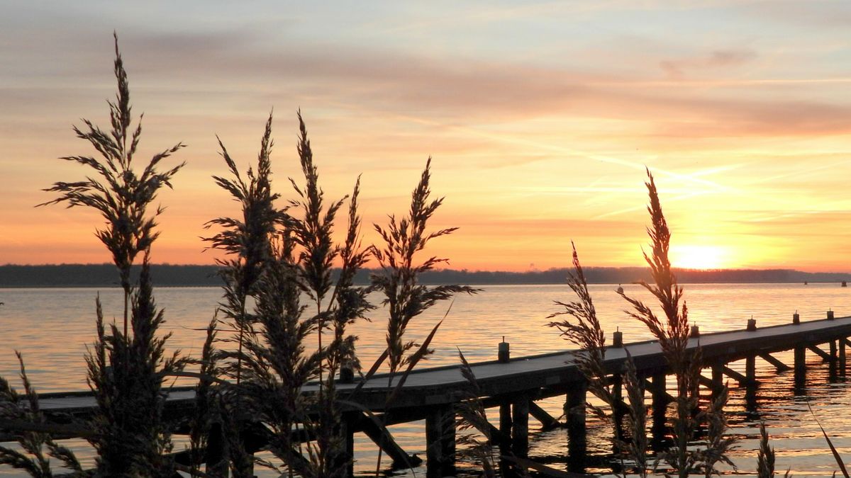 Onder water gaat het mis: waarom het Veerse Meer zuurstof blijft verliezen