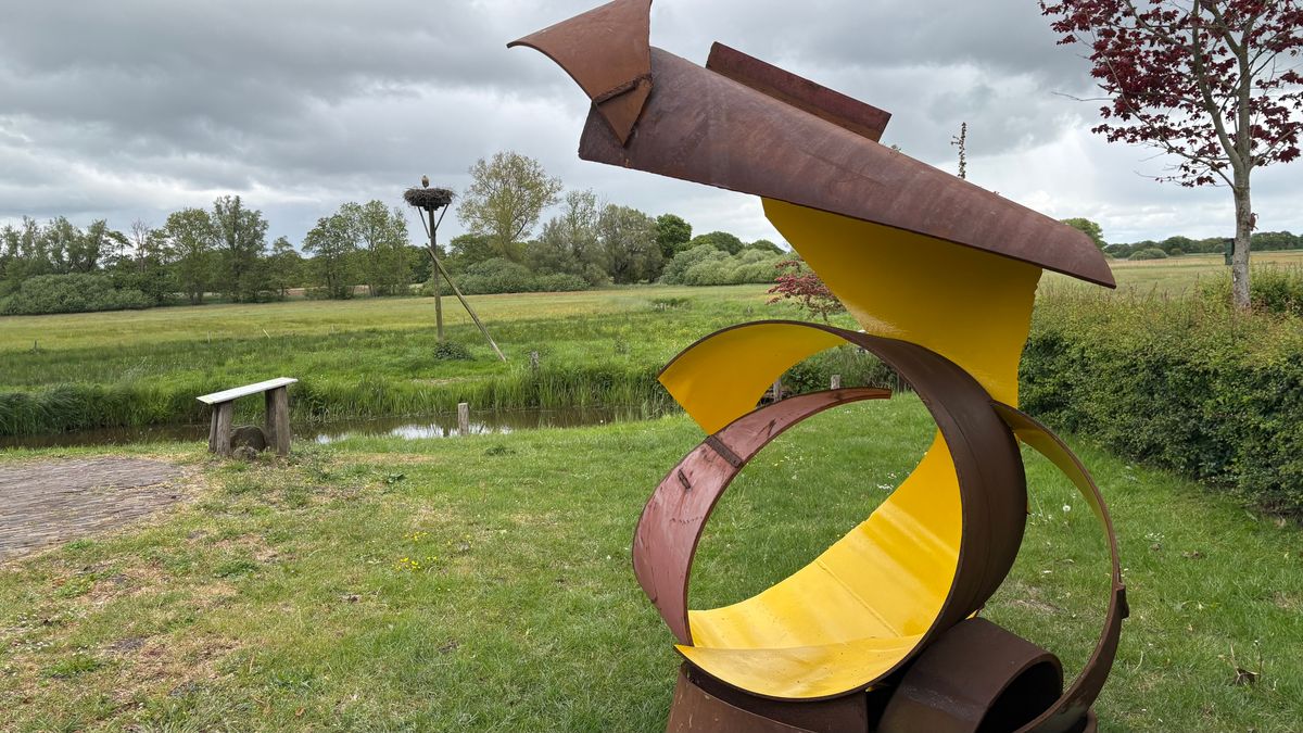 Kunstwerken duiken op in het Reestdal: 'Laat je fantasie de vrije loop gaan'