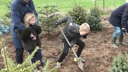 Isa en Lou planten kerstboom 'Karel' om hem volgend jaar weer op te halen