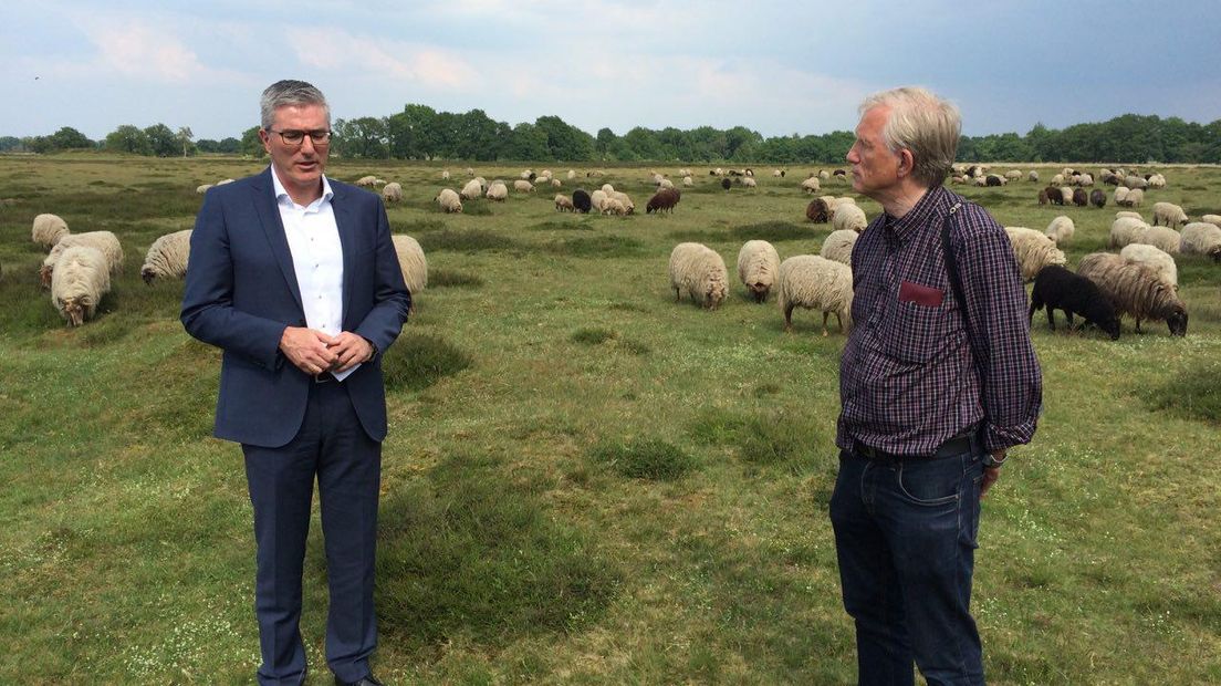 Henk Jumelet en Albert Kerssies van de gezamenlijke schaapskuddes bij de kudde op het Balloërveld (Rechten: Steven Stegen/RTV Drenthe)