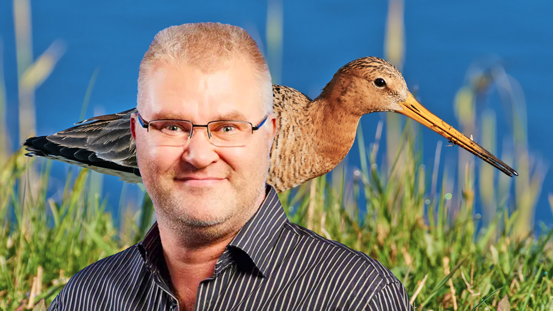 Q&A: Dit is wêrom't wy in tik op 'e fingers krije foar ús skriezebeskerming