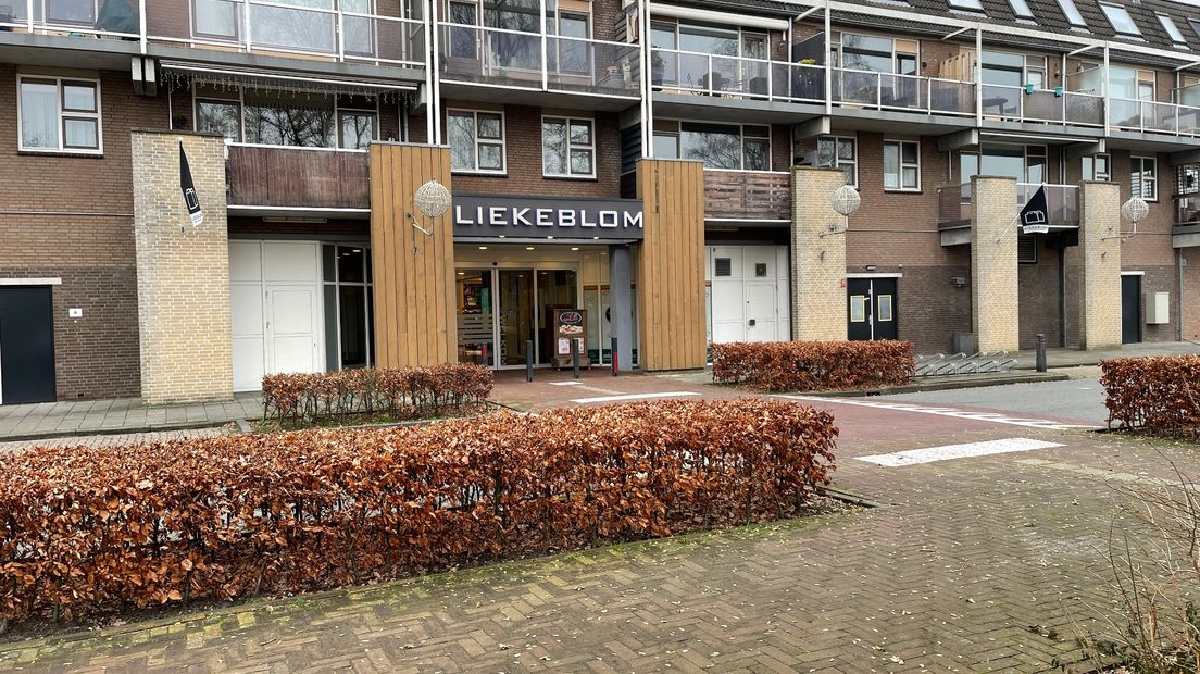 Winkelcentrum de Liekeblom in Leek