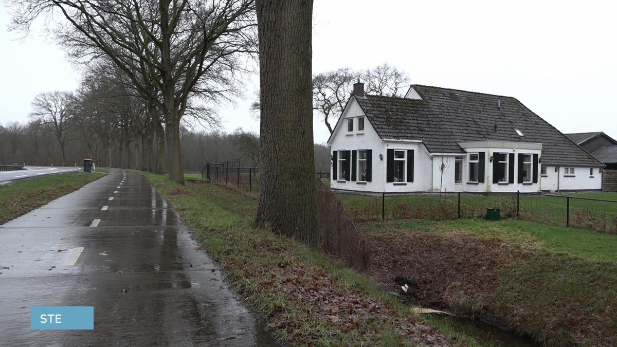 Wolf doodgereden in Hoogersmilde