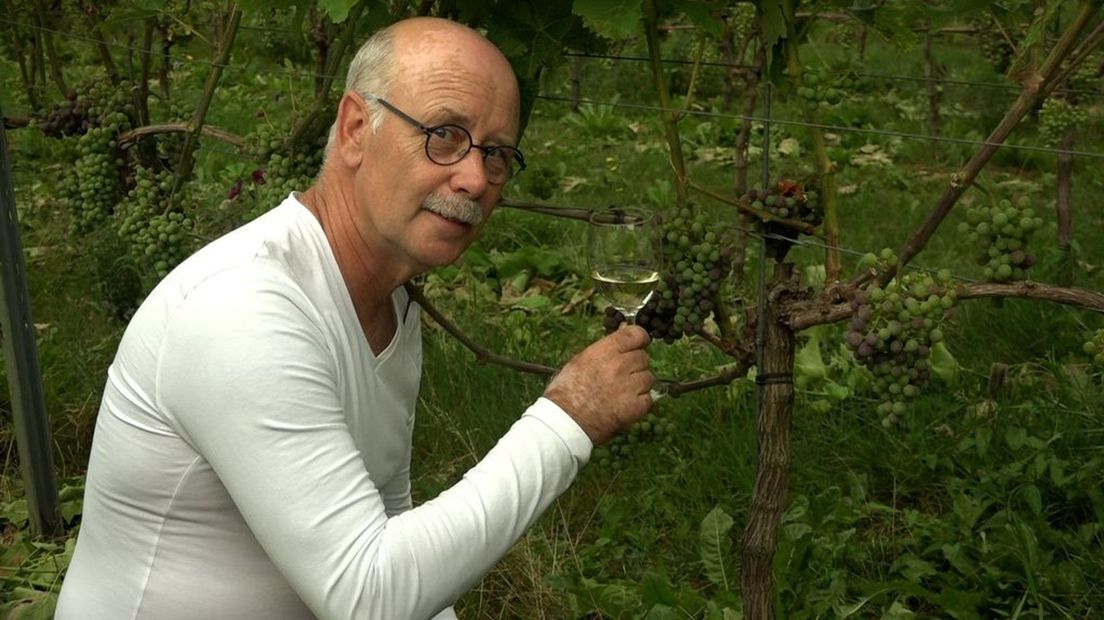 Arjan Stam van wijngaard Keulenhof is blij met het weer deze zomer.