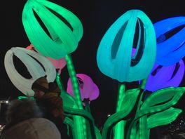 Festival zet nachtelijk Drachten in de spotlights met lichtgevende konijnen